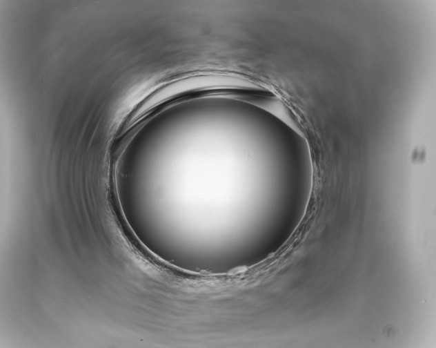 X0000091930005200709121608