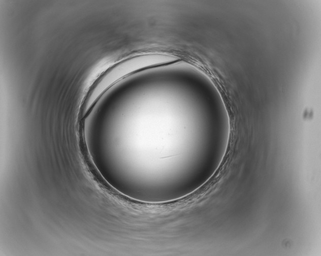X0000091930006200709121608