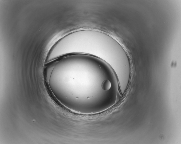 X0000091930007200709121608