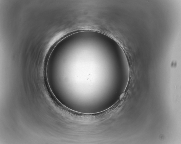 X0000091930008200709121608