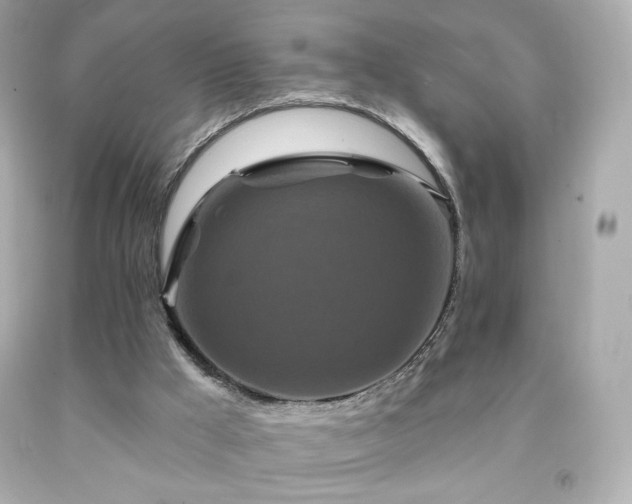 X0000091930009200709121608
