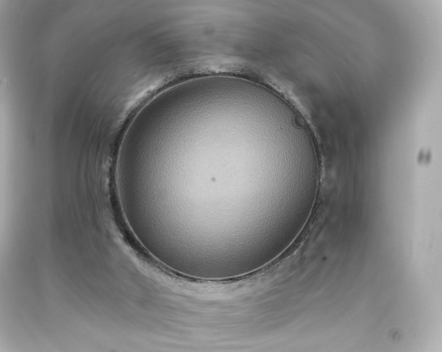 X0000091930010200709121608