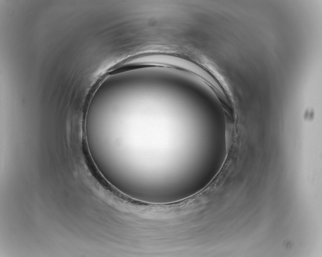 X0000091930011200709121608
