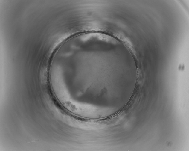 X0000091930012200709121608