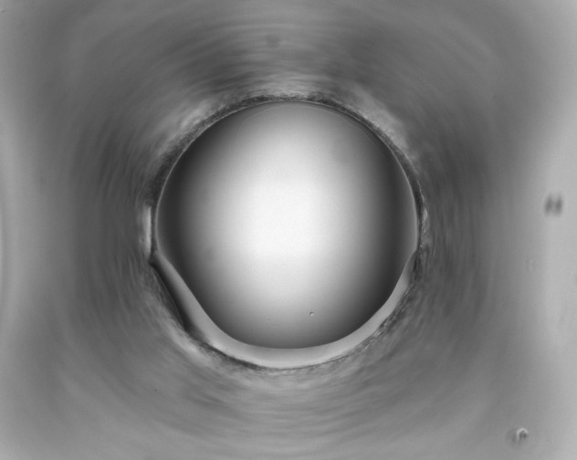X0000091930013200709121608