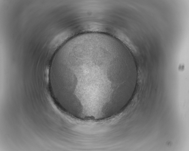 X0000091930014200709121608