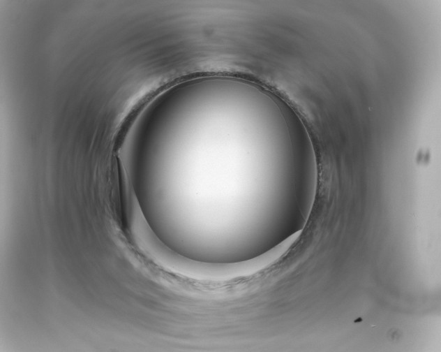 X0000091930015200709121608