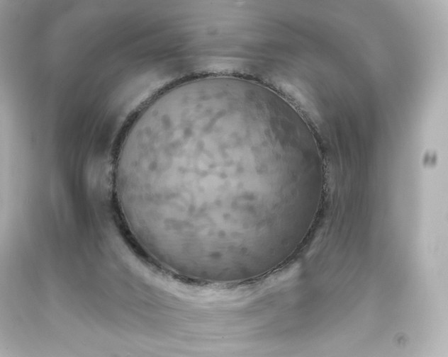 X0000091930016200709121608