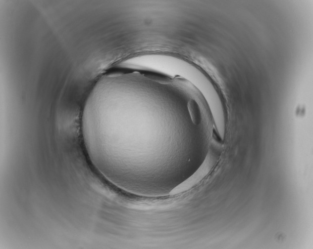 X0000091930017200709121608