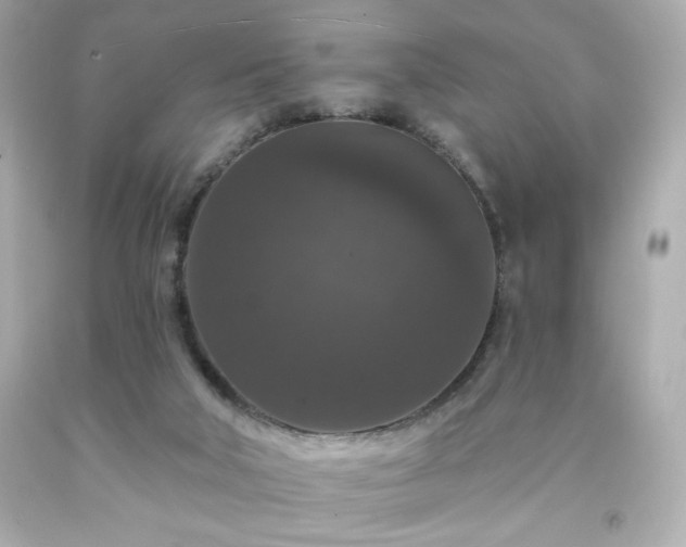 X0000091930018200709121608