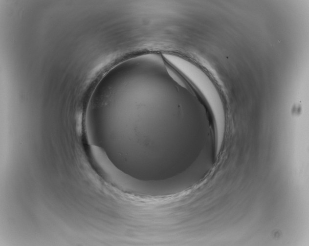 X0000091930019200709121608