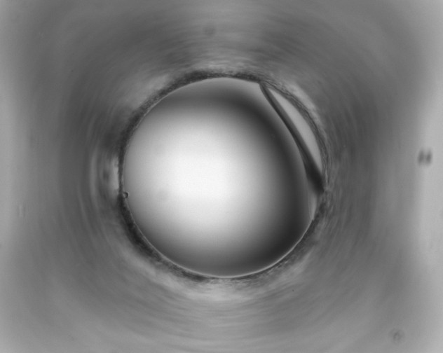 X0000091930020200709121608