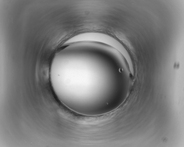 X0000091930021200709121608