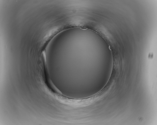 X0000091930023200709121608