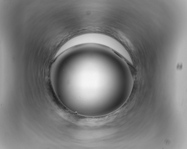 X0000091930025200709121607