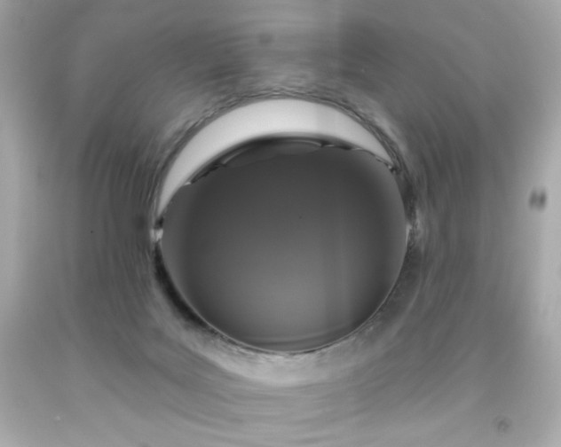 X0000091930027200709121607