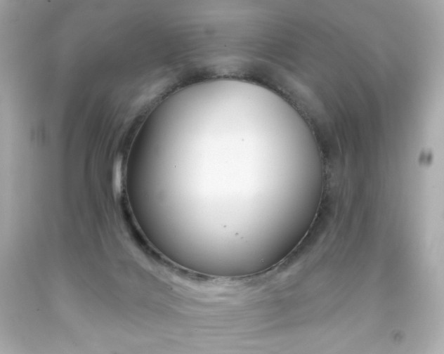 X0000091930028200709121607