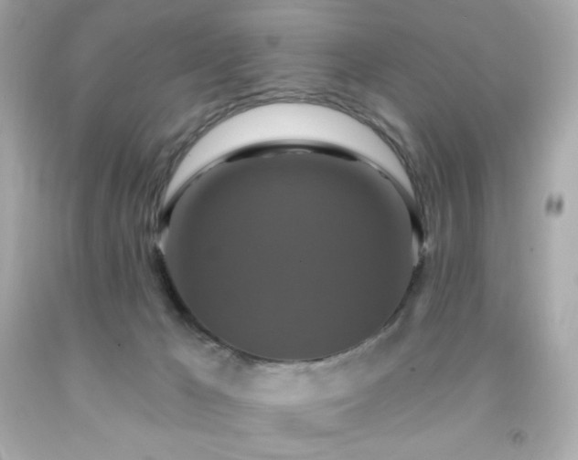 X0000091930029200709121607