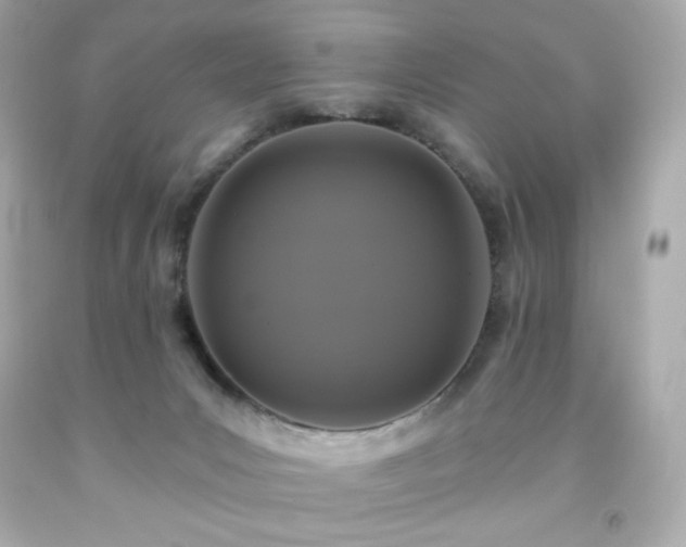 X0000091930031200709121607