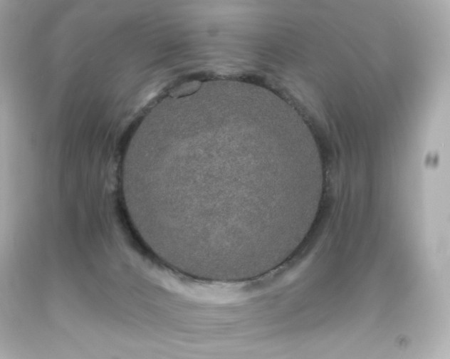 X0000091930032200709121607