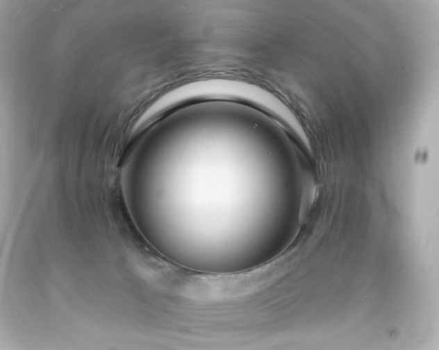 X0000091930033200709121607