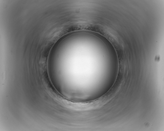 X0000091930034200709121607