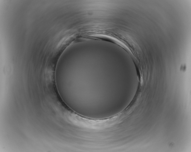 X0000091930035200709121607