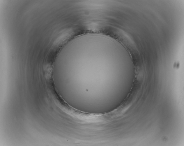 X0000091930036200709121607