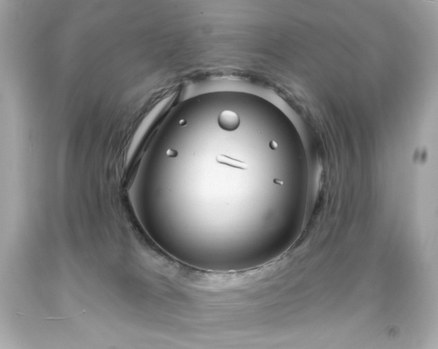 X0000091930037200709121607