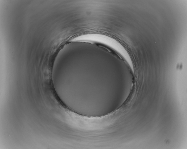 X0000091930039200709121607