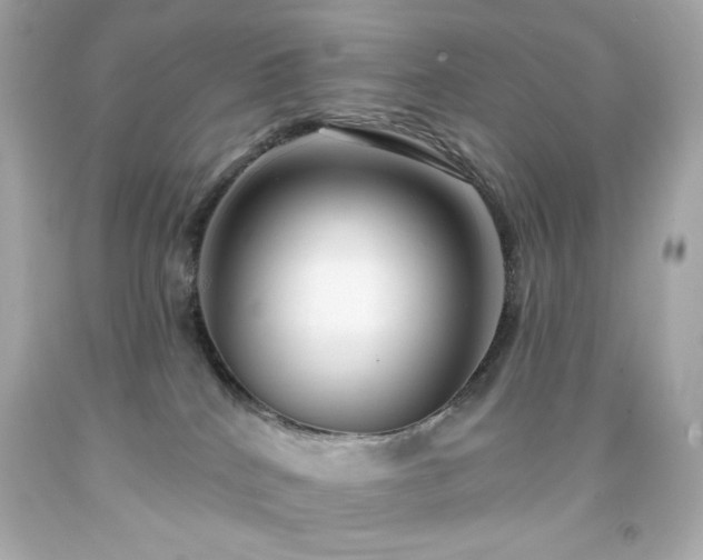 X0000091930040200709121607