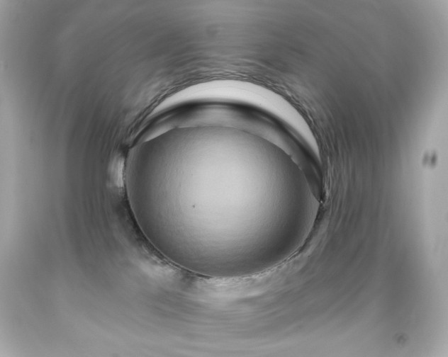 X0000091930041200709121607