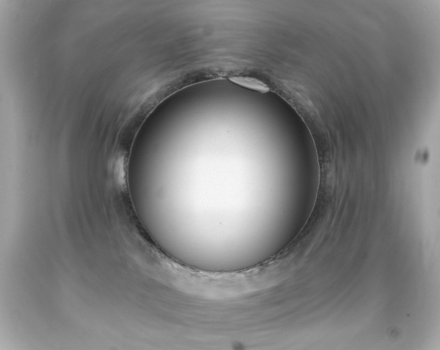 X0000091930042200709121607