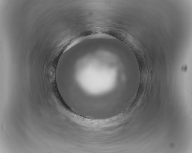 X0000091930043200709121607