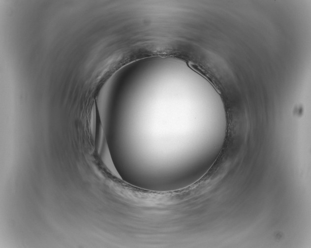 X0000091930044200709121607