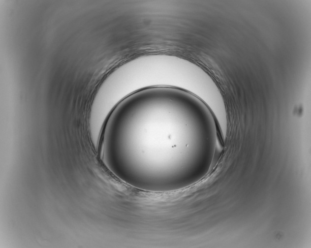 X0000091930045200709121607