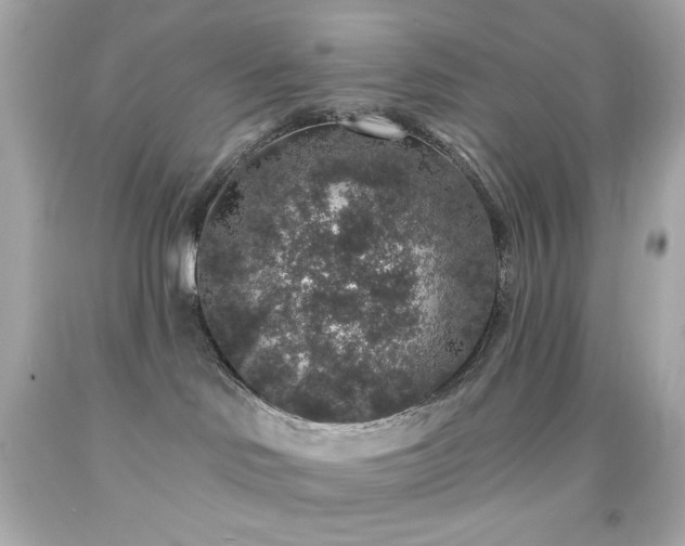 X0000091930046200709121607
