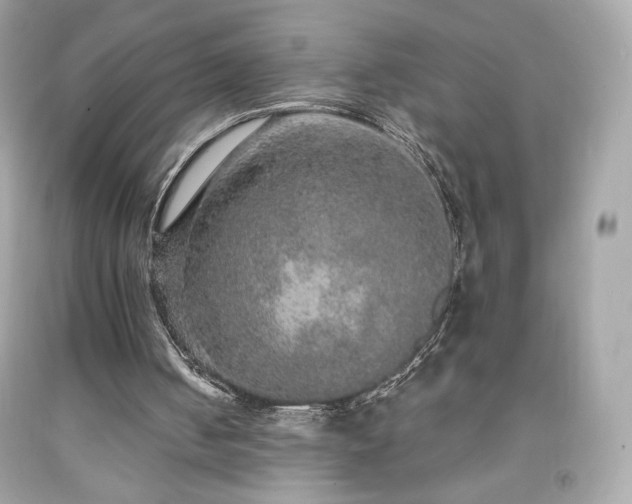 X0000091930050200709121607