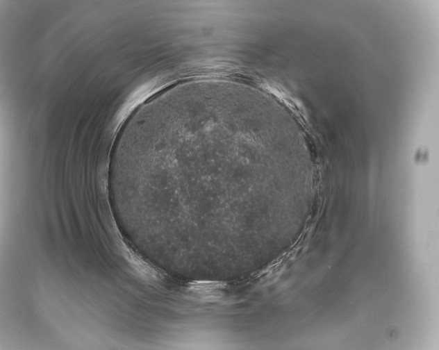 X0000091930051200709121607