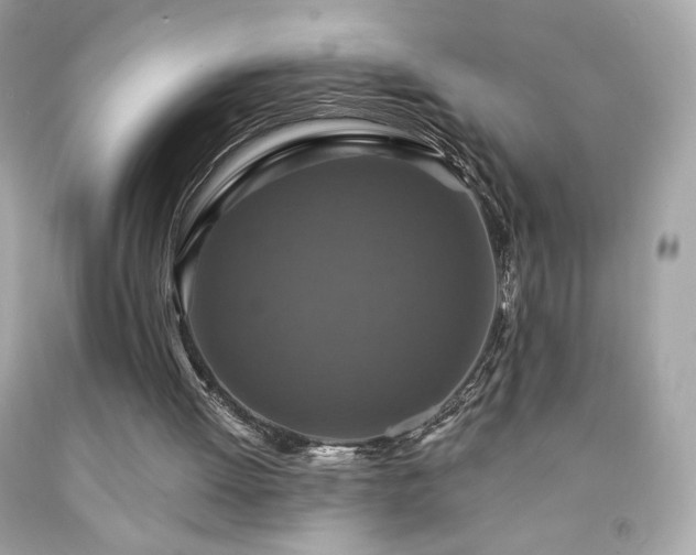 X0000091930052200709121607