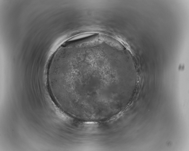 X0000091930053200709121607