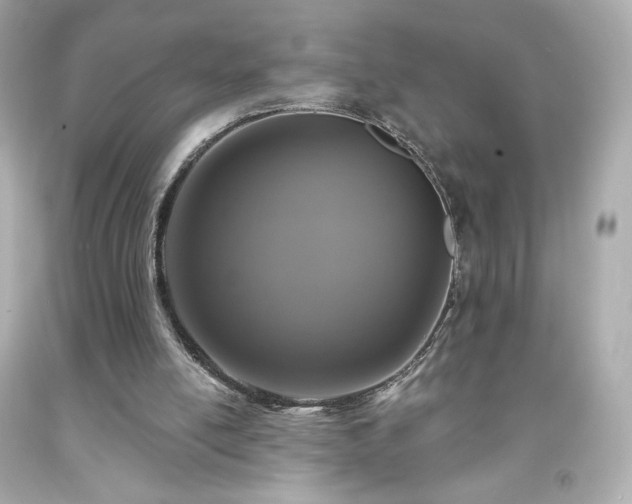 X0000091930054200709121607