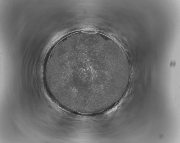 X0000091930055200709121607