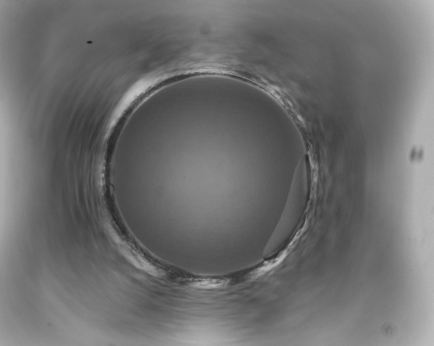X0000091930056200709121607