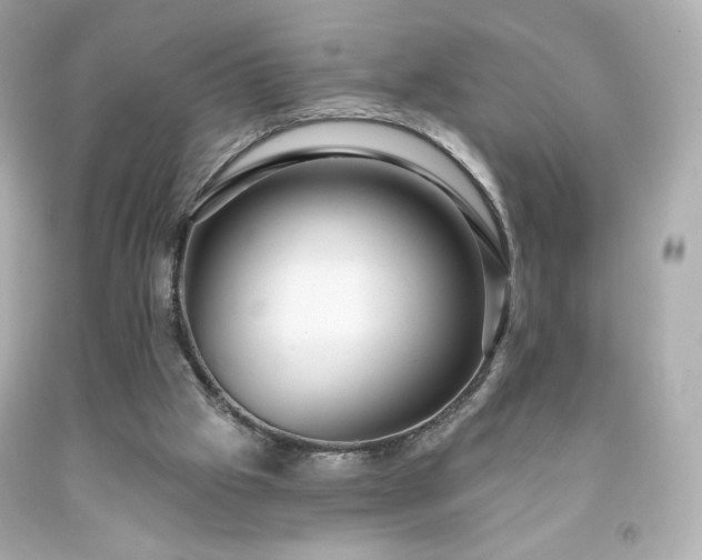 X0000091930057200709121607