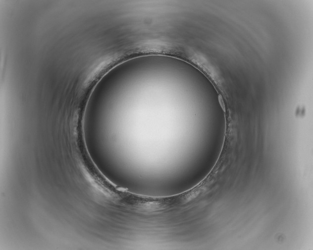 X0000091930058200709121607