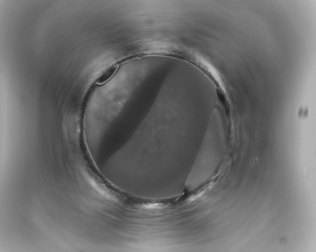 X0000091930059200709121607