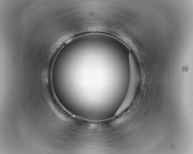 X0000091930060200709121607
