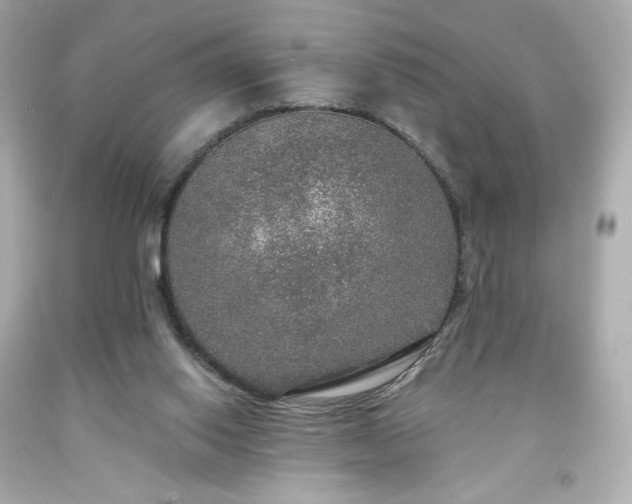 X0000091930062200709121607