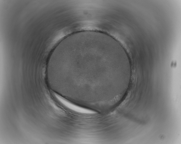 X0000091930063200709121607